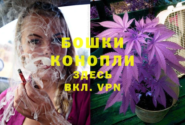 прущая мука Белокуриха