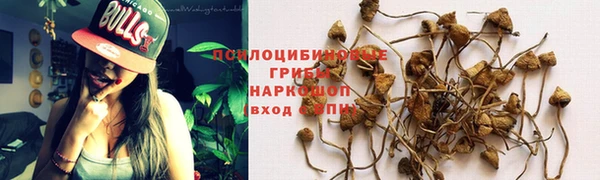прущая мука Белокуриха