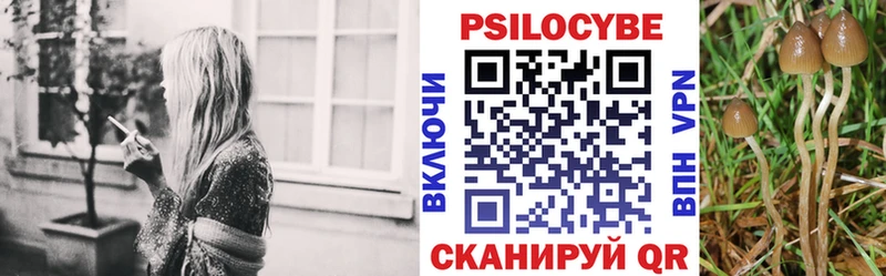 Галлюциногенные грибы Psilocybe Купить Мезень